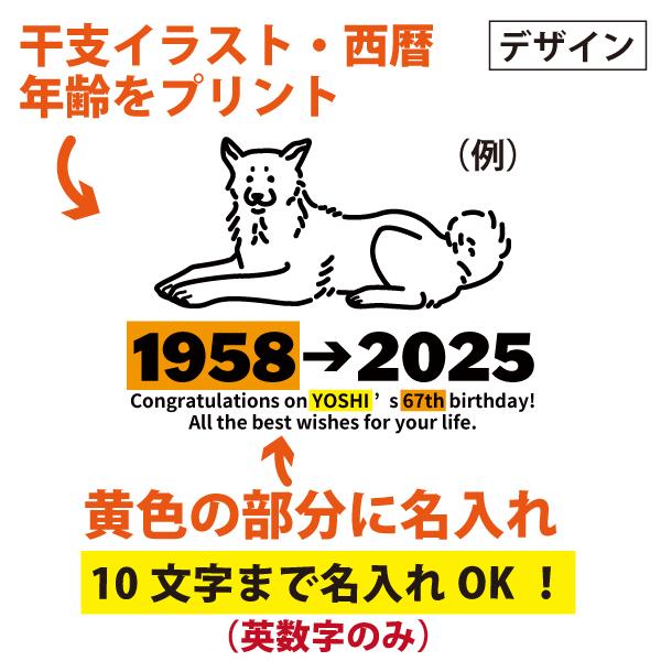 60代 干支 巳 名入れ Tシャツ 父 母 家族 誕生日 プレゼント 60歳 61歳 65歳 62歳 63歳 64歳 66歳 67歳 68歳 69歳 還暦 男性 女性 犬 戌 寅 阪神 1501 1500 085 | BASIC COVER | 03