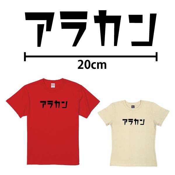 アラカン 誕生日 プレゼント 女性 還暦 50代 60代 男性 祝い プレゼント 面白 55歳 56歳 57歳 58歳 59歳 60歳 61歳 62歳 63歳 おもしろＴシャツ 1501 1500 085 | BASIC COVER | 10