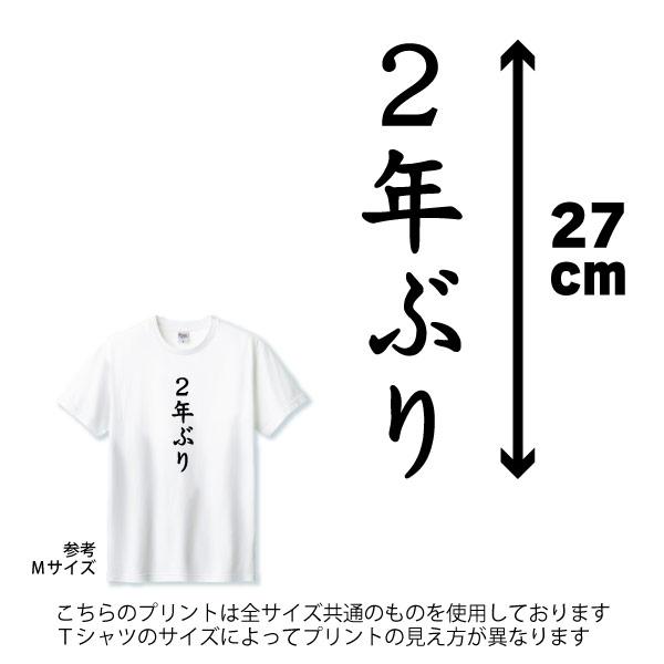 2年ぶり 優勝記念 Tシャツ 2025年9月7日 史上最速 優勝 タイガース 阪神 チャンピオン VICTORY 阪神 藤川 応援 記念 記録 2025 グッズ 面白 1501 1500 5001 085 | BASIC COVER | 01