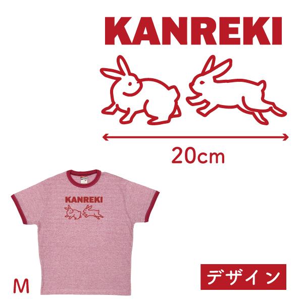 還暦祝い 男性 女性 杢Ｔシャツ 還暦Ｔシャツ 還暦 Ｔシャツ おしゃれ 1963年 西暦 ボックスロゴ プレゼント リンガー Tシャツ 赤 レッド 赤いもの BC1960｜basic-cover｜04