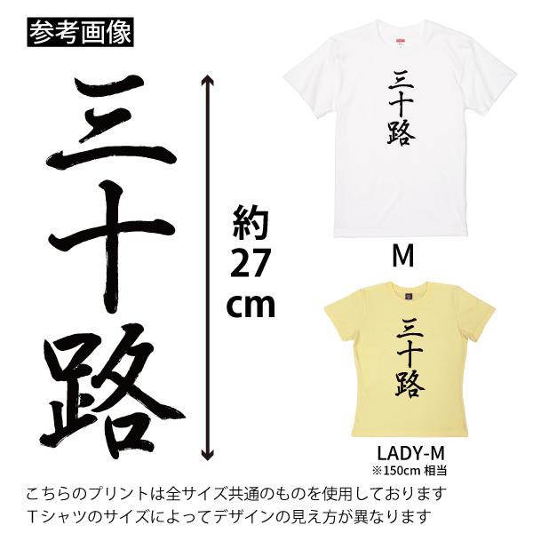 三十路 Tシャツ 30歳 誕生日 プレゼント 30代 おもしろ アラサー お祝い ギフト 漢字 面白 ネタ メンズ 半袖 31歳 32歳 33歳 34歳 1501 1500 085 | BASIC COVER | 11