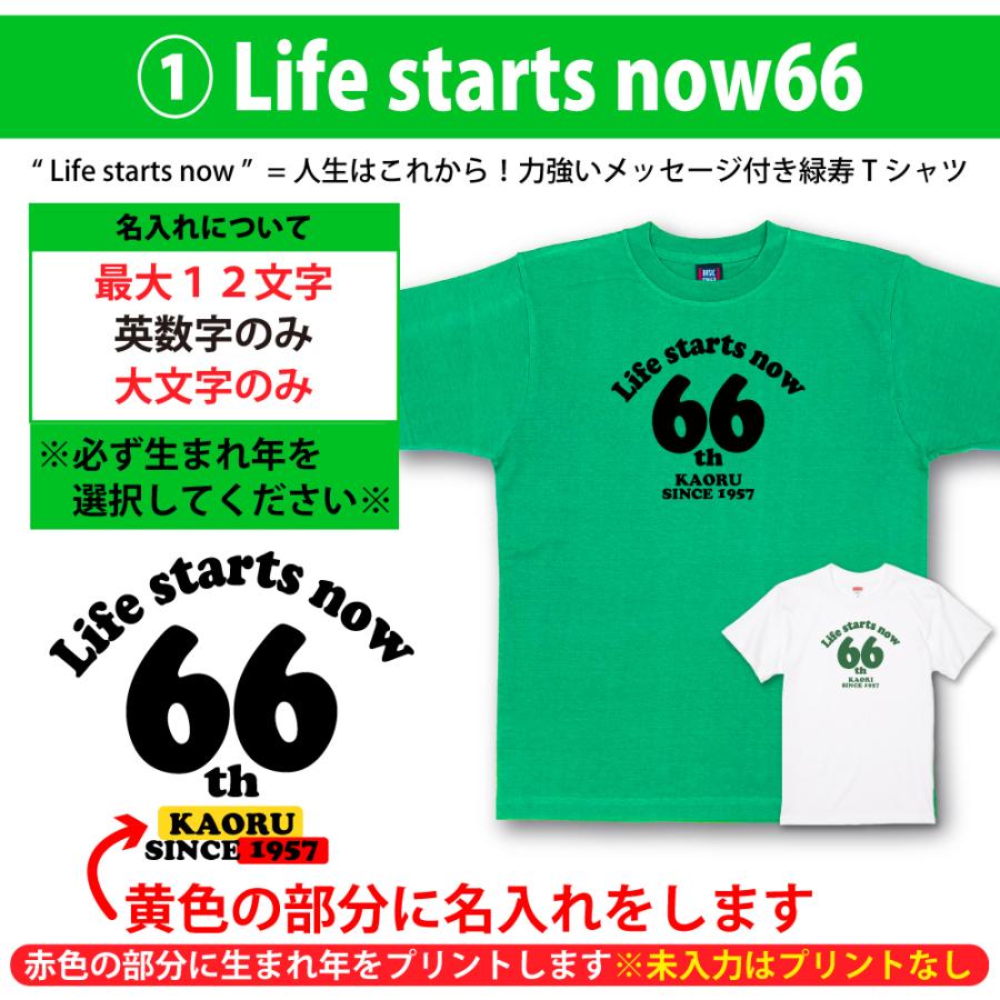 緑寿 66歳 66歳のお祝い 65歳 プレゼント 名入れ Tシャツ 男性 女性 退職 退職祝い 父 母 上司 友人 六十六歳 六十五歳 緑 グリーン 何歳 何色 1500/1501/5001｜basic-cover｜08