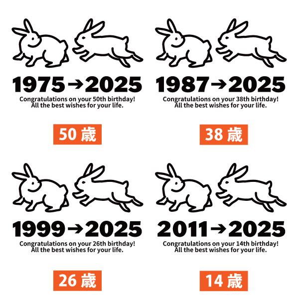 うさぎ 卯 動物 卯年 アニマル 干支 十二支 誕生日 Ｔシャツ プレゼント 男性 女性 14歳 26歳 38歳 50歳 62歳 74歳 86歳 98歳 兎 家族 友人 1501 1500 085 | BASIC COVER | 12