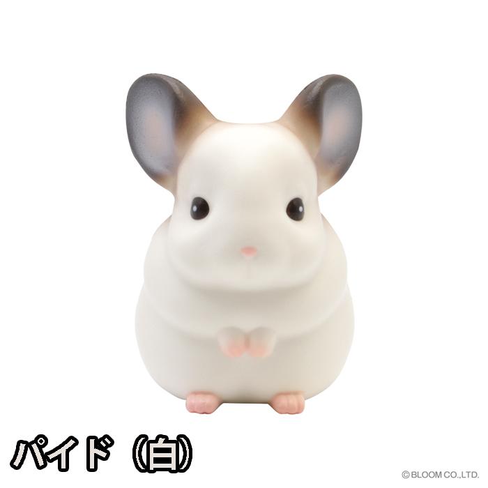 ブルーム スクイーズ コロコロふんわり　チンチラ | BLOOM（おもちゃ） | 01