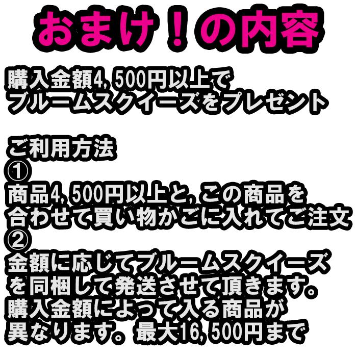 【商品説明をお読みください】1円おまけ【4,500円以上購入で】 |  | 01