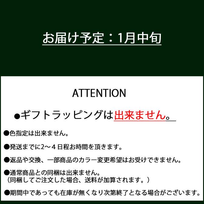 2026年ダレスバッグ福袋　(送料無料) | YOUTA | 04