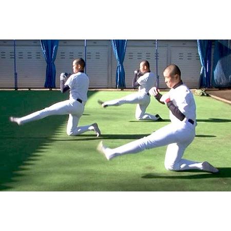 クリーチャートレーニングDVD進化版 〜 体幹の動きを引き出す