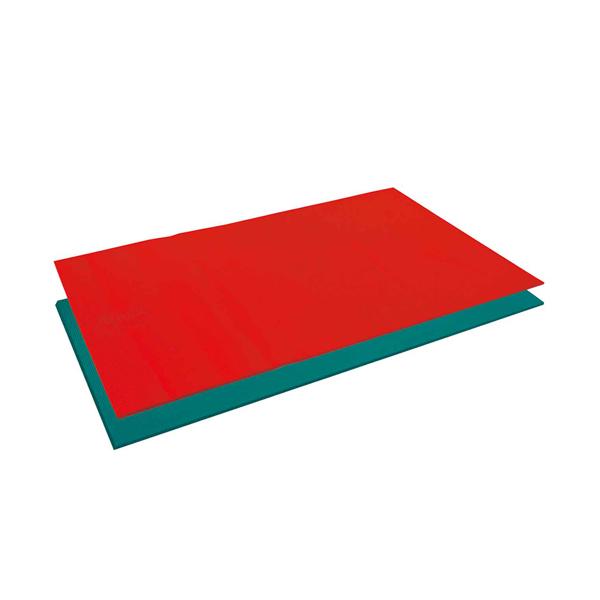 エアレックス アトラス 200×125cm/厚さ1.5cm メーカー直送 代引不可商品 AIREX Mat リハビリ トレーニングマット ストレッチマット_1