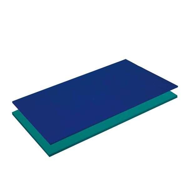 エアレックス ヘラクレス 200×100cm厚さ2.5cm メーカー直送 代引不可商品 AIREX Mat リハビリ トレーニングマット ストレッチマット