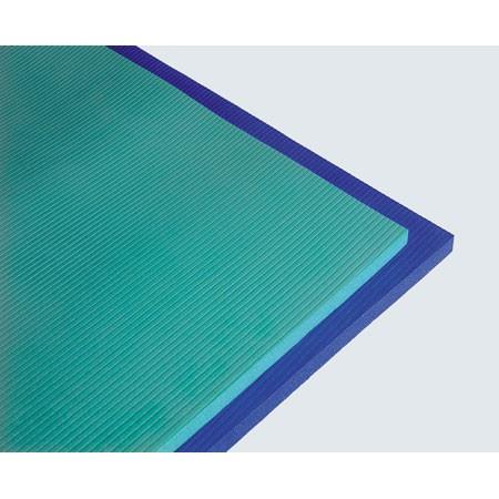 AIREX   エクササイズマット  赤 楽天市場】エアレックス ヘラクレス（200×100cm厚さ2.5cm