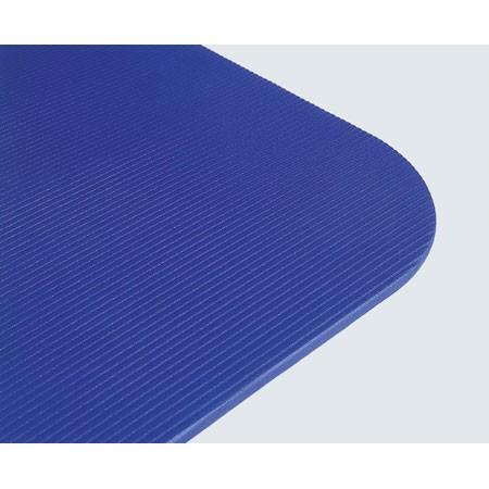 エアレックス フィットネス120 120×60cm/厚さ1.5cm メーカー直送 代引