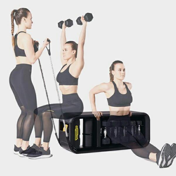 TECHNOGYM 特別価格のセット販売 テクノジムベンチ /バランスボール