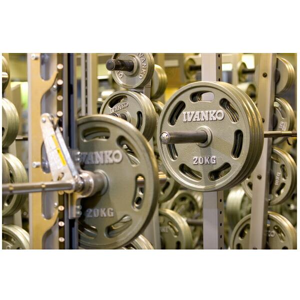 IVANKO OMK オリンピック ペイントプレート（20kg /2枚組み） 送料込み