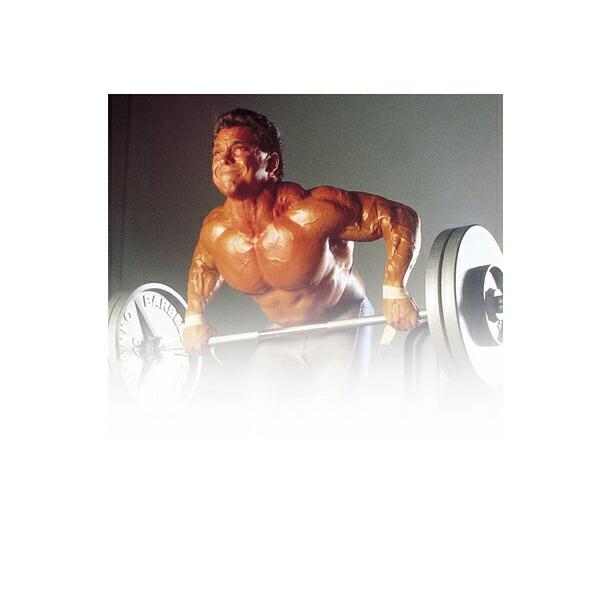 IVANKO OMK オリンピック ペイントプレート（2.5kg /2枚組み