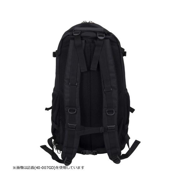 SPALDING 取り寄せ CAGER ケイジャー フラッグ バックパック