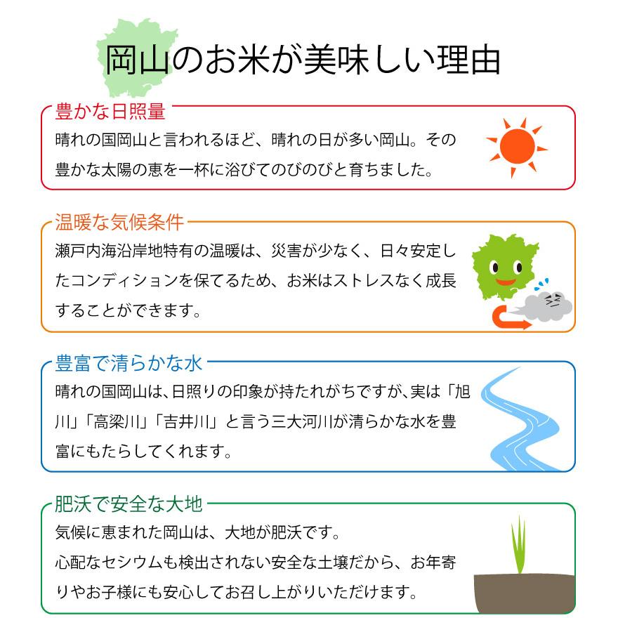 【送料無料】ぴかまる 米 10kg 岡山県産 白米 玄米 晴れの国岡山 モチモチ 甘味 美味しい バレンタイン プレゼント｜basket2011｜03