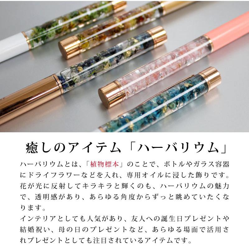 名入れ対応/即日出荷】ハーバリウムボールペン レジンボールペン