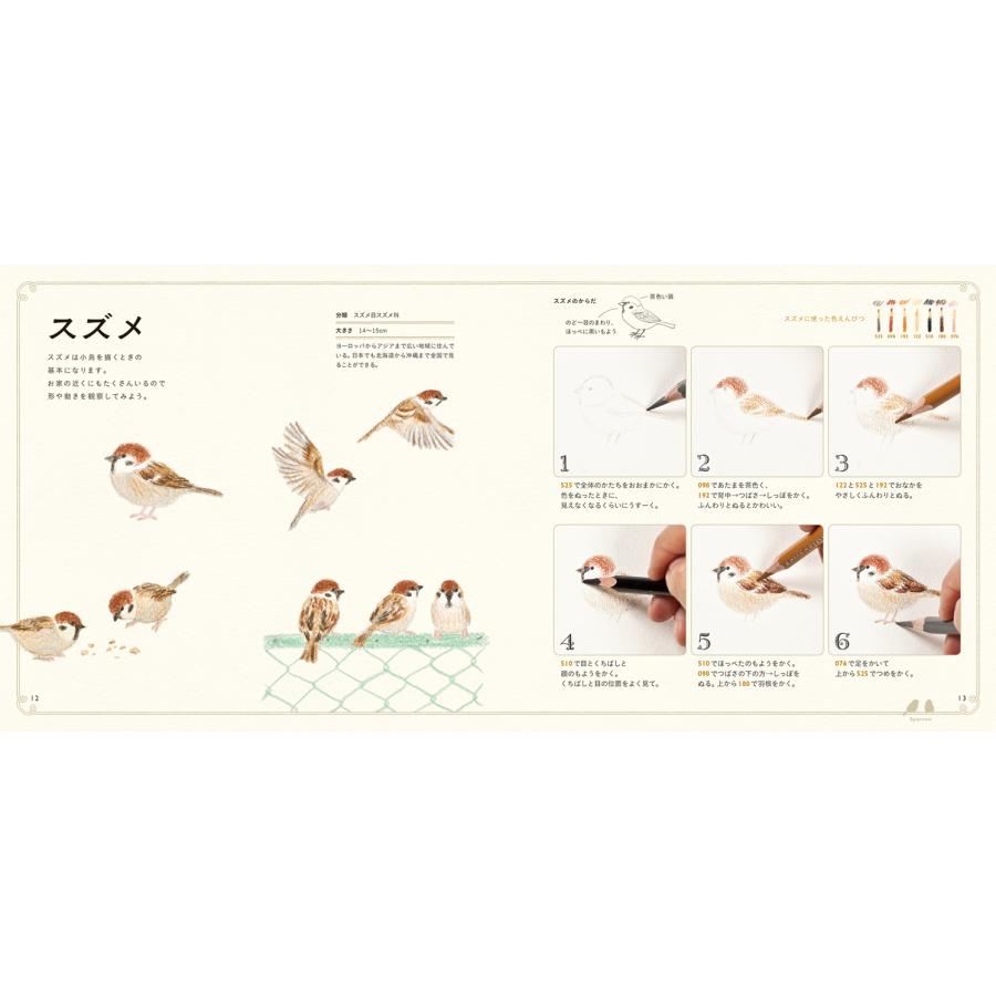 色えんぴつでかわいい鳥たち 色鉛筆 書き方 イラスト テキスト 簡単 かわいい 練習 秋草 愛 Pie4636 3 名入れオリジナルアイテム Sympl 通販 Yahoo ショッピング