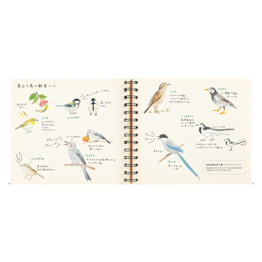 色えんぴつでかわいい鳥たち 色鉛筆 書き方 イラスト テキスト 簡単 かわいい 練習 秋草 愛 Pie4636 3 名入れオリジナルアイテム Sympl 通販 Yahoo ショッピング