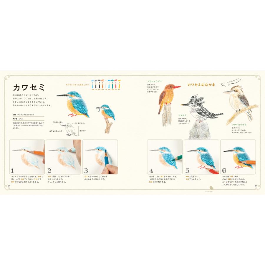 色えんぴつでかわいい鳥たち 色鉛筆 書き方 イラスト テキスト 簡単 かわいい 練習 秋草 愛 Pie4636 3 名入れオリジナルアイテム Sympl 通販 Yahoo ショッピング