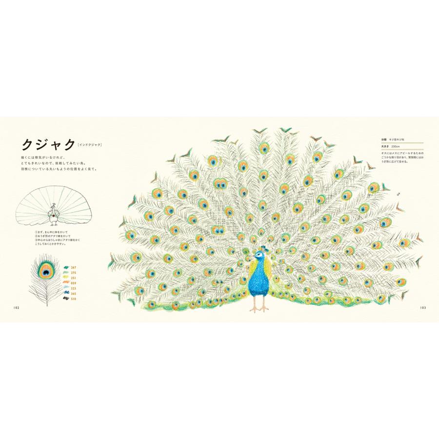 色えんぴつでかわいい鳥たち 色鉛筆 書き方 イラスト テキスト 簡単 かわいい 練習 秋草 愛 Pie4636 3 名入れオリジナルアイテム Sympl 通販 Yahoo ショッピング