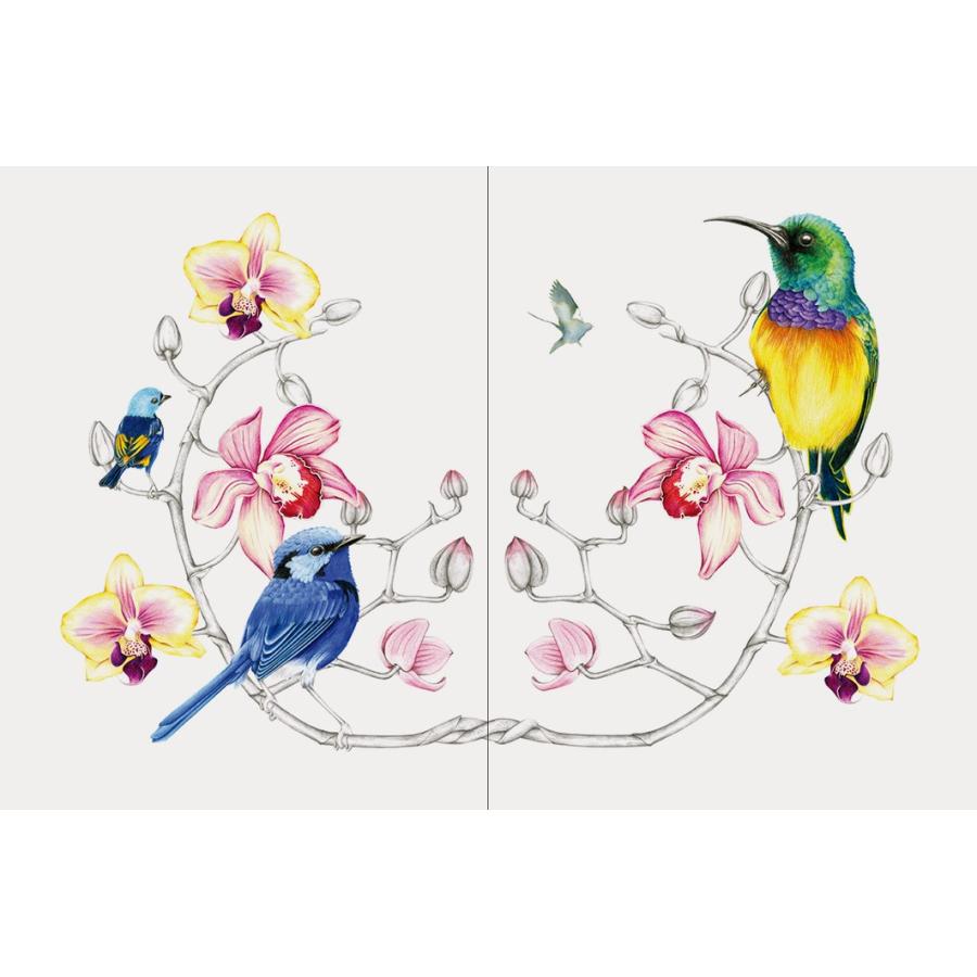 世界の美しい鳥と花のぬり絵ブック 大人の塗り絵 ぬりえ 色鉛筆 ディジー フレッチャー Pie4797 1 名入れオリジナルアイテム Sympl 通販 Yahoo ショッピング