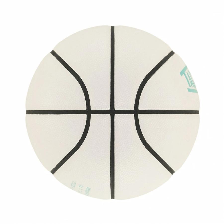 タチカラ MINI BASKETBALL size3 SB3-202 ミニ バスケットボール 練習