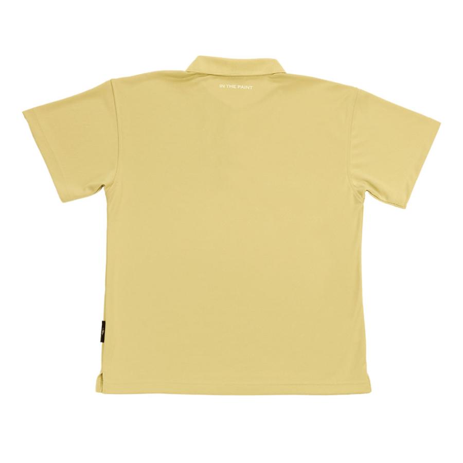 1点限りネコポス対応」IN THE PAINT インザペイント ITP24334