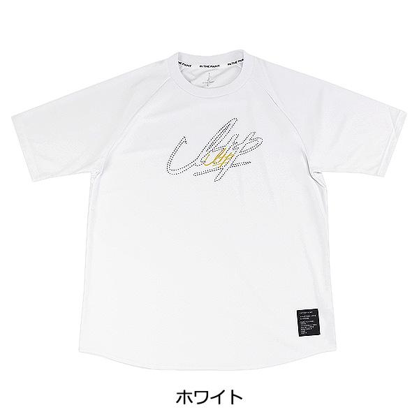 即納/優良配送】「1点限りネコポス対応」IN THE PAINT インザペイント