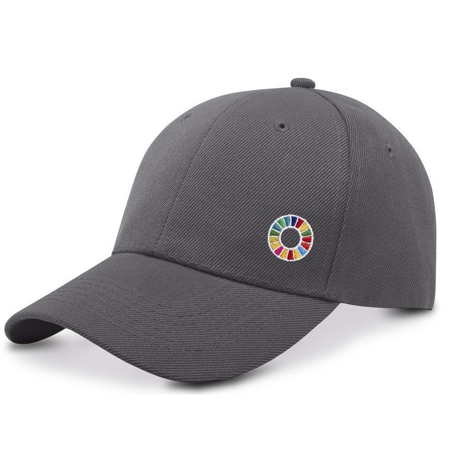 buddix wool cap ウールキャップ SDG SDGs 国連本部限定 オーガニック SDG キャップ 帽子 UN 正規品