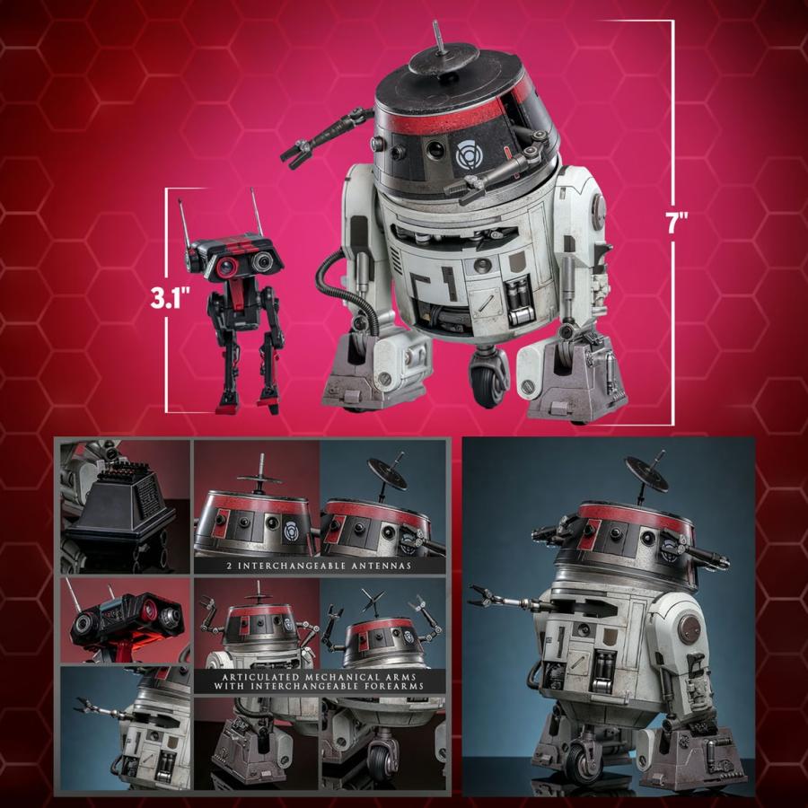 スター・ウォーズ チョッパー（C1-10P）＆BD-1（インペリアル