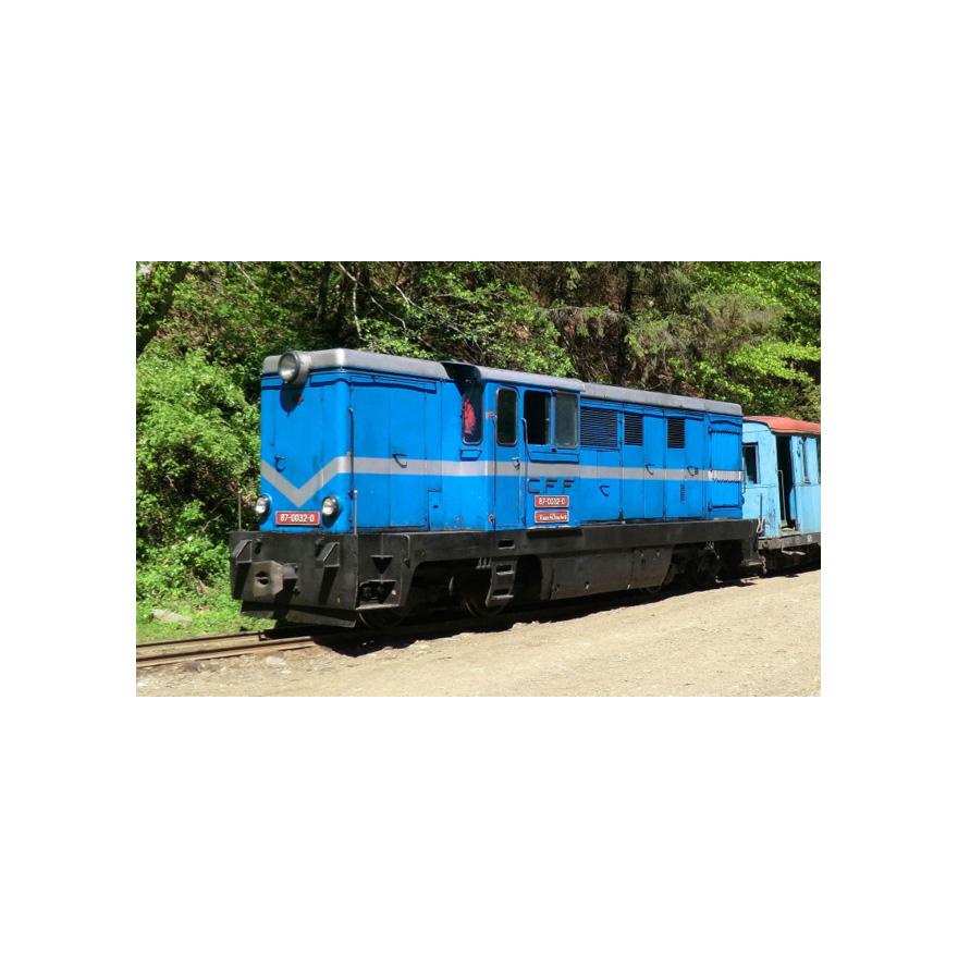 H0e 鉄道模型 Bemo Wassertalbahn Diesel locomotive CFF 87 0032 0 DC | 