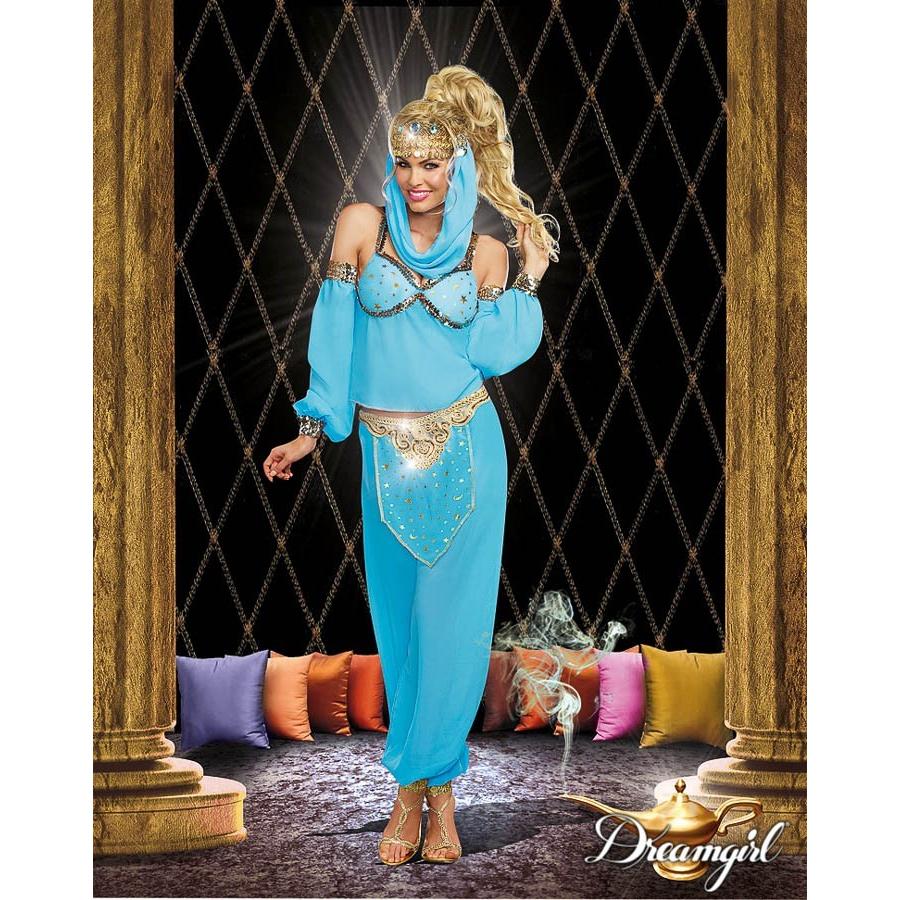 アラジンのコスチューム４点セット仮装コスチューム コスプレ /ドリームガール・仮装・ハロウィン・女性大人用 | 