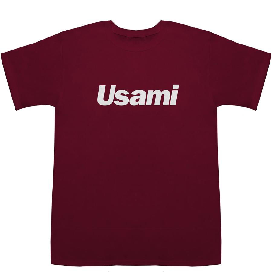 Usami 宇佐美 宇佐見 T-shirts【Tシャツ】【ティーシャツ】【名前