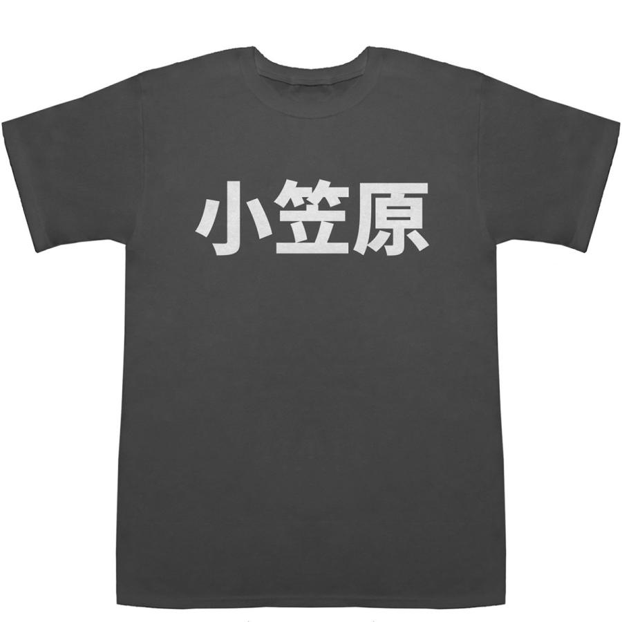 小笠原 おがさわら T-shirts【漢字】【地名】【Tシャツ