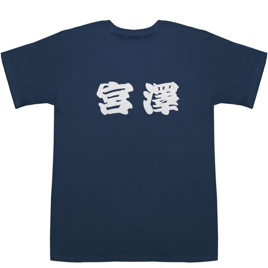 宮澤 みやざわ miyazawa T-shirts【Tシャツ】【ティーシャツ】【名前
