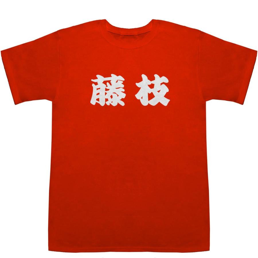 藤枝 ふじえだ T-shirts【Tシャツ】【ティーシャツ】【都道府県