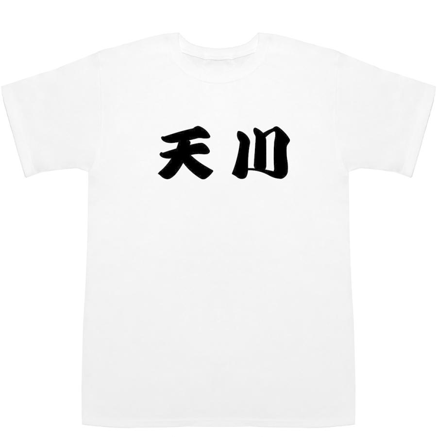天川 T-shirts【Tシャツ】【ティーシャツ】【都道府県】【地名】【ご