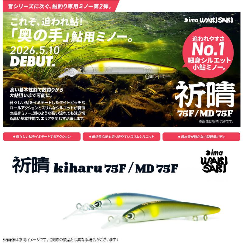 ima（アイマ） ○アイマ 祈晴 キハル MD 75F 【メール便配送可