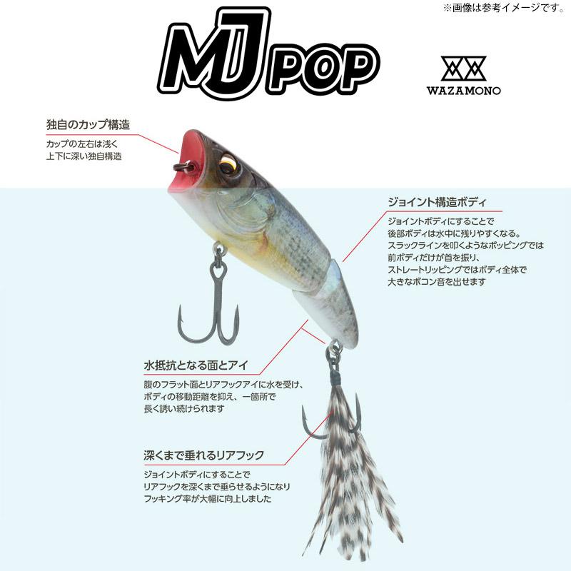 IMAKATSU（イマカツ） 【在庫限定20％OFF】イマカツ MJポップ 3D