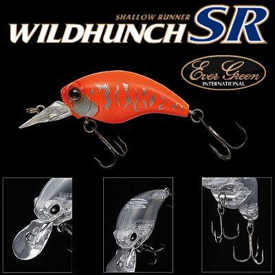 モード（EverGreen） ○エバーグリーン EVERGREEN Mo-DO