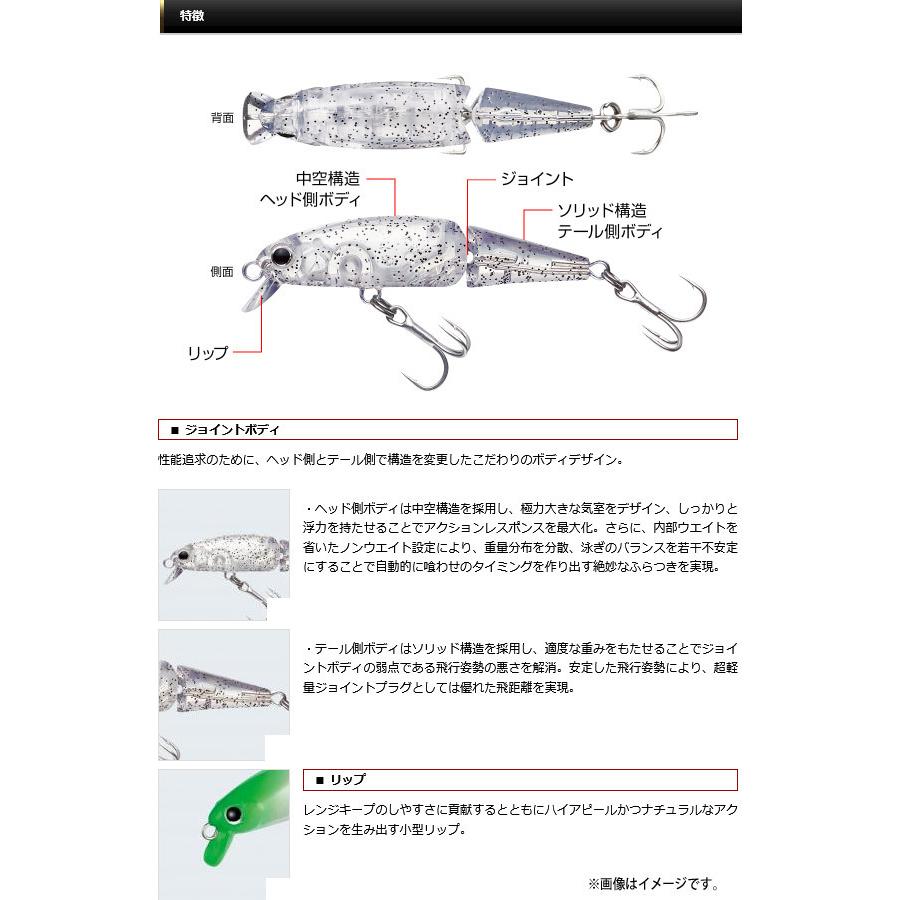 EverGreen（エバーグリーン） ○エバーグリーン ウィグラ40 【メール便