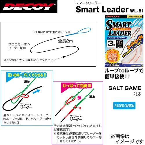 ●デコイ　スマートリーダー WL-51 【メール便配送可】 【まとめ送料割】｜bass-infinity