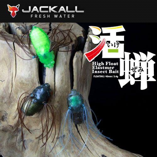 ●ジャッカル 活蝉 イケゼミ