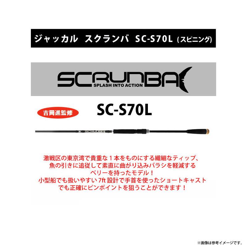 JACKALL（ジャッカル） 【サワラ・青物 キャスティング入門セット