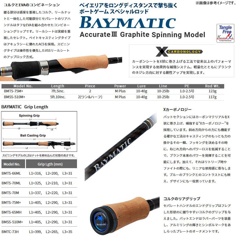 サワラ・青物 キャスティング入門セット】○パームス ベイマティック 