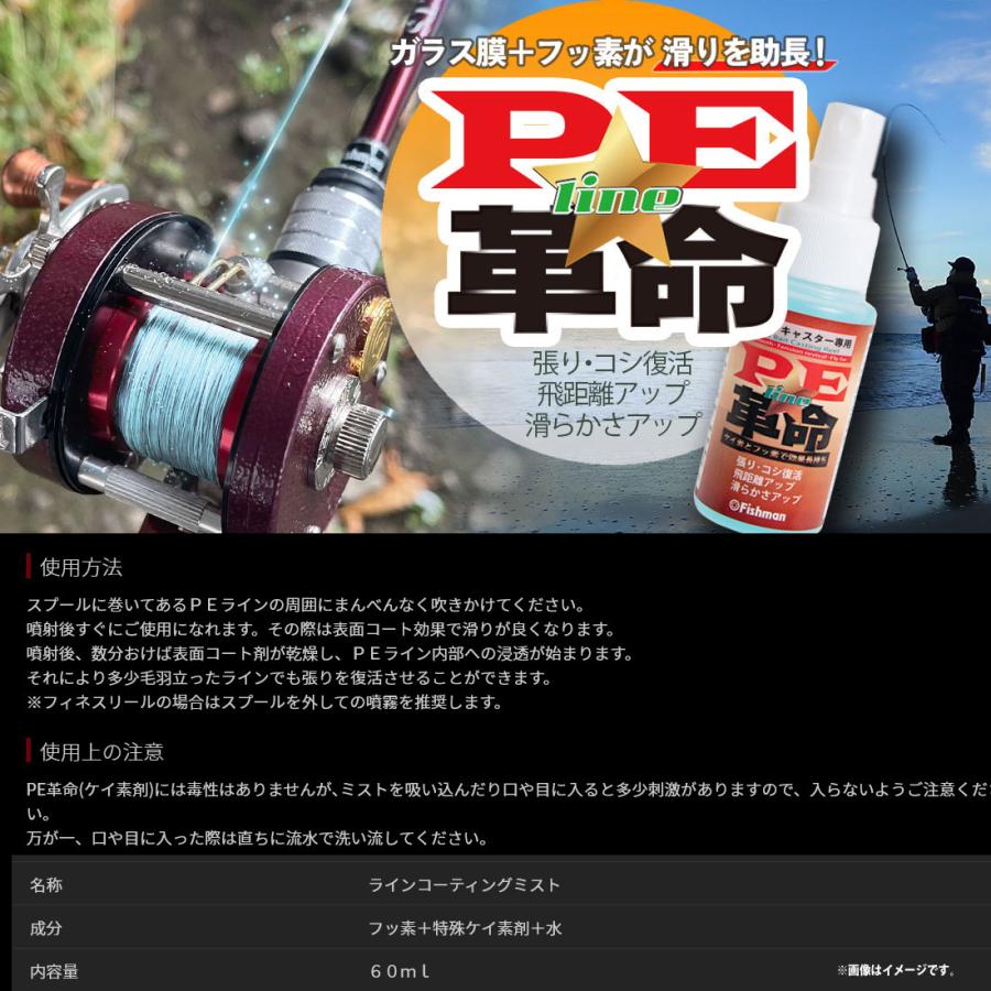 ○Fishman フィッシュマン PE革命 【まとめ送料割】 : 釣具の
