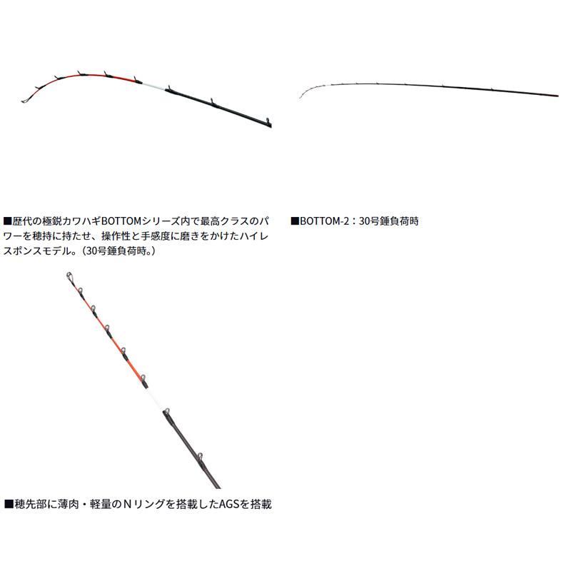 DAIWA（ダイワ） ○【送料無料】ダイワ 極鋭 カワハギ RT AGS BOTTOM-2