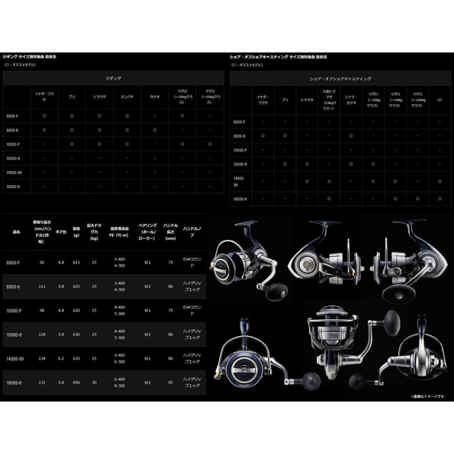 DAIWA（ダイワ） ○ダイワ 21 セルテート SW 18000-H 【まとめ送料割