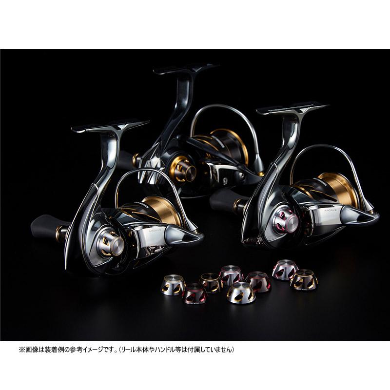 DAIWA（ダイワ） ○ダイワ SLPワークス 22 SLPW スピニングハンドル